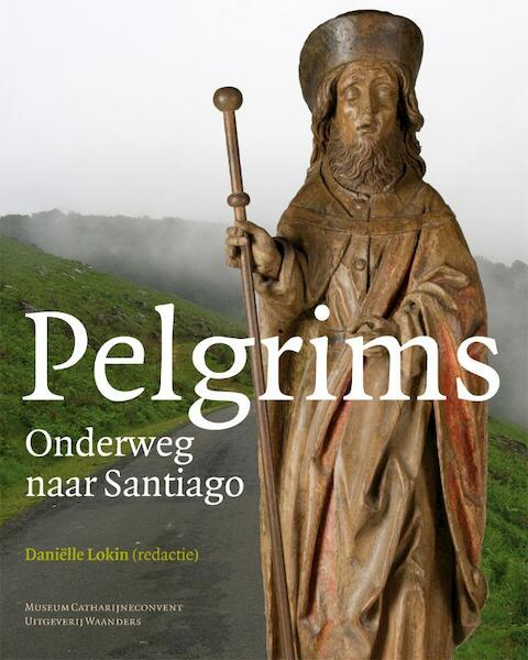 Pelgrims - Dirk Aerts, Martin Kellens, Danielle Lokin, Daniëlle Lokin, Mireille Madou (ISBN 9789040078200)