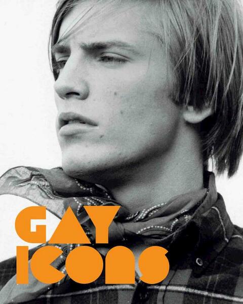 Gay Icons - R. Dyer, S. Toksvig (ISBN 9781855144002)