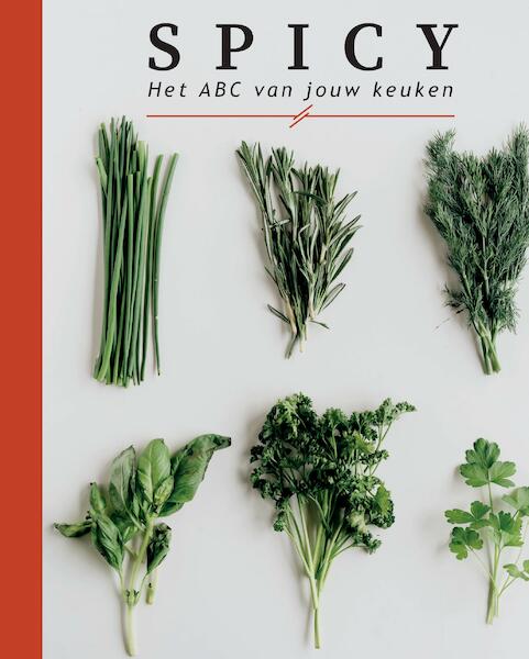 SPICY - Aron Woonink, Bente Van Oort (ISBN 9789464438703)