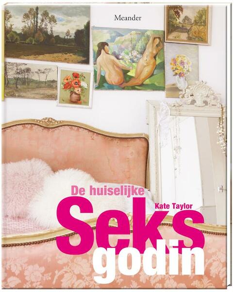 De huiselijke seksgodin - Kate Taylor (ISBN 9789050191029)