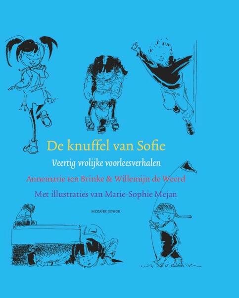 De knuffel van Sofie - Annemarie ten Brinke, Willemijn de Weerd (ISBN 9789023993261)