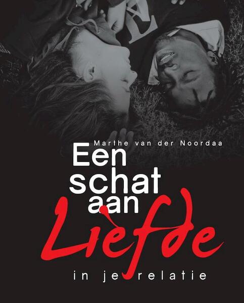 Een schat aan liefde - Marthe van der Noordaa (ISBN 9789082124217)