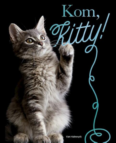 Kom. Kitty! - Nicola Jane Swinney (ISBN 9789461319432)
