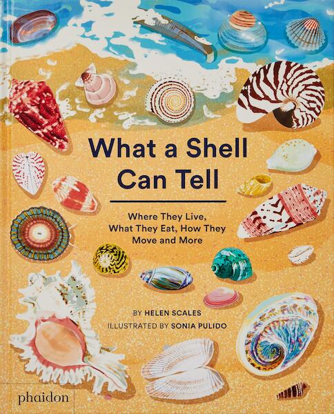 What A Shell Can Tell - Helen Scales, Sonia Pulido (ISBN 9781838664305)