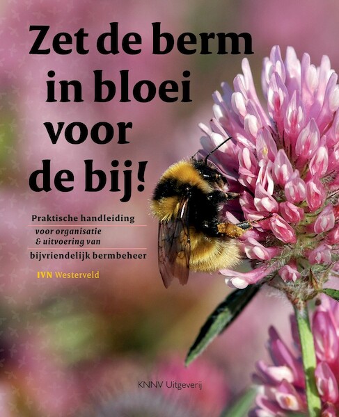 Zet de berm in bloei voor de bij - IVN Westerveld (ISBN 9789050116589)