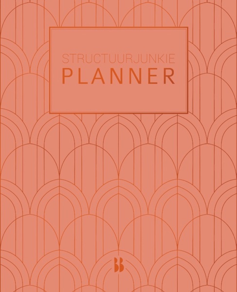 Structuurjunkie planner (groot) - Perzik - Cynthia Schultz (ISBN 9789463491488)
