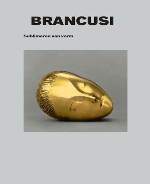 Brancusi - (ISBN 9789461611451)