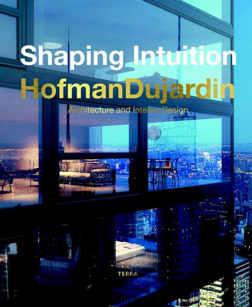Shaping intuition - Susan de Sola (ISBN 9789089896995)