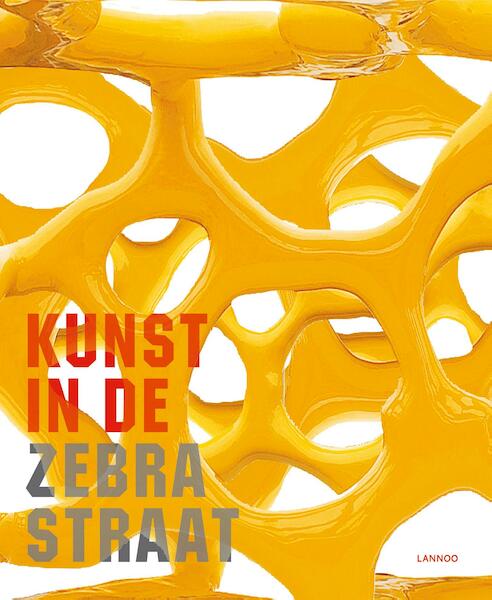 Kunst in de Zebrastraat - Paul Dujardin (ISBN 9789401458528)
