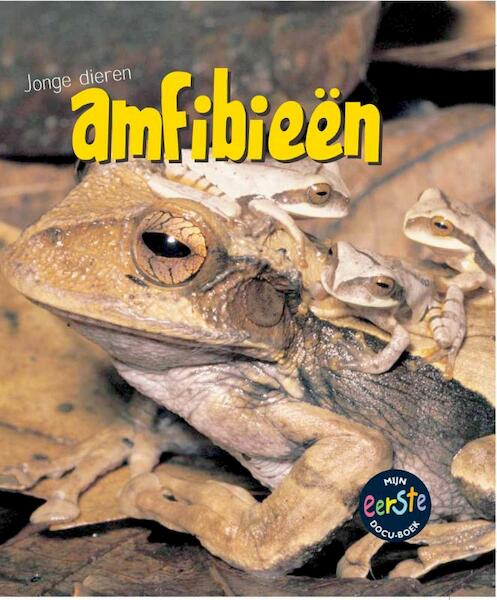 Amfibieen - Rod Theodorou (ISBN 9789055665327)