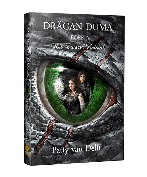 Het Zwarte Kristal - Patty van Delft (ISBN 9789491300974)