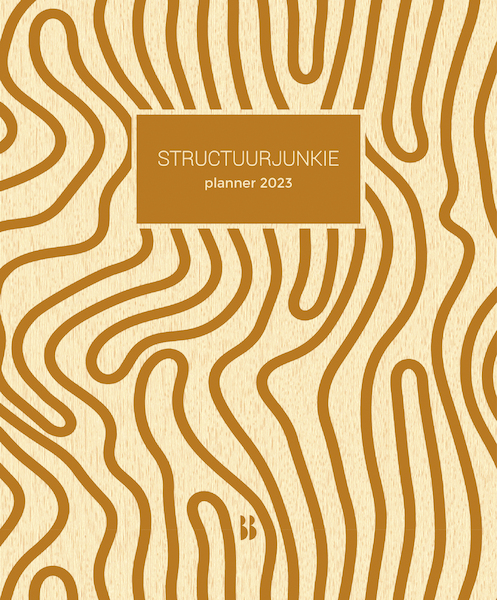 Structuurjunkie planner 2023 (klein) - Cynthia Schultz (ISBN 9789463493536)