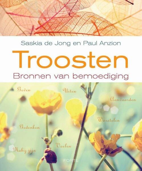 Troosten - Saskia de Jong, Paul Anzion (ISBN 9789058774019)