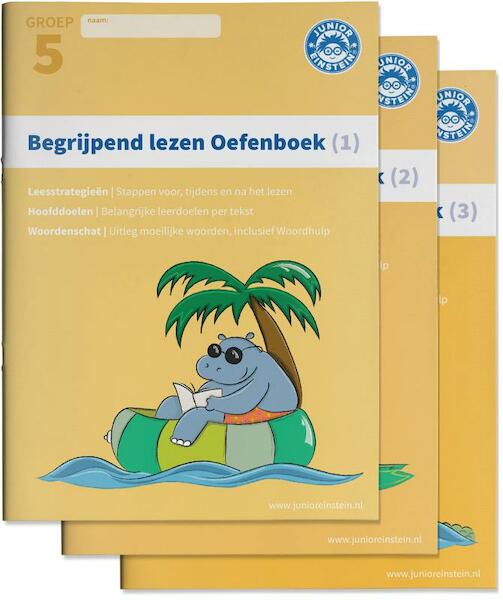 Begrijpend lezen - (ISBN 9789492265531)