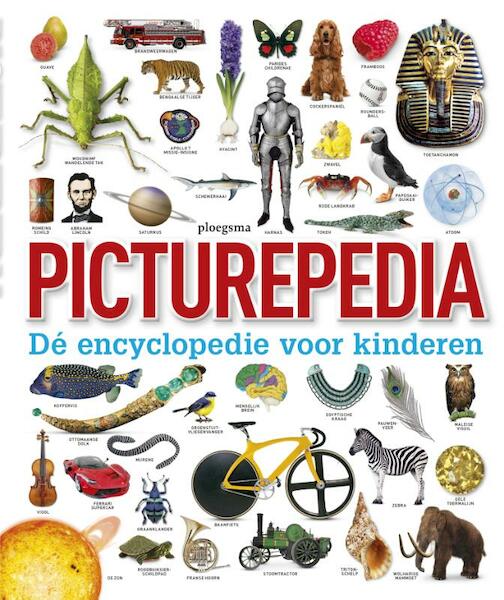 Picturepedia - (ISBN 9789021676036)
