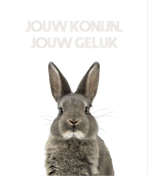 JOUW KONIJN, JOUW GELUK - Vianne Scharloo (ISBN 9789083031507)