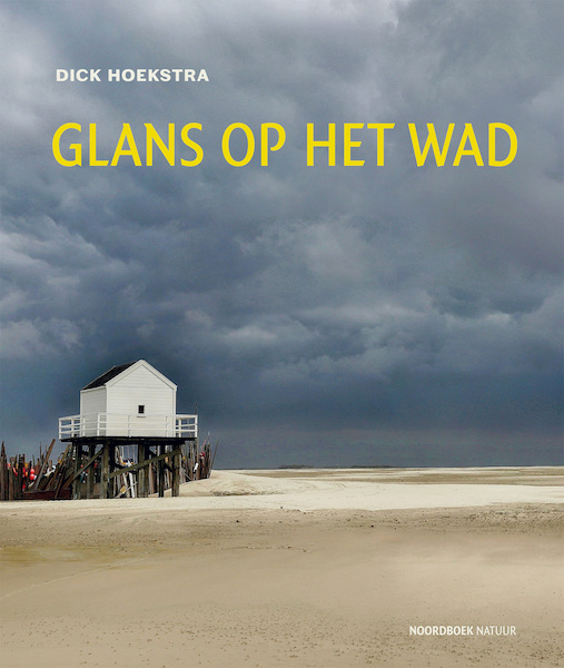 Glans op het wad - Dick Hoekstra (ISBN 9789056154981)