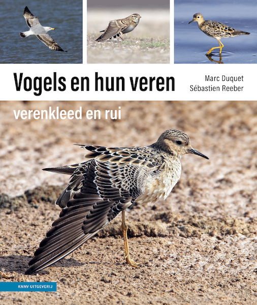 Vogels en hun veren - Marc Duquet, Sébastien Reeber (ISBN 9789050117678)