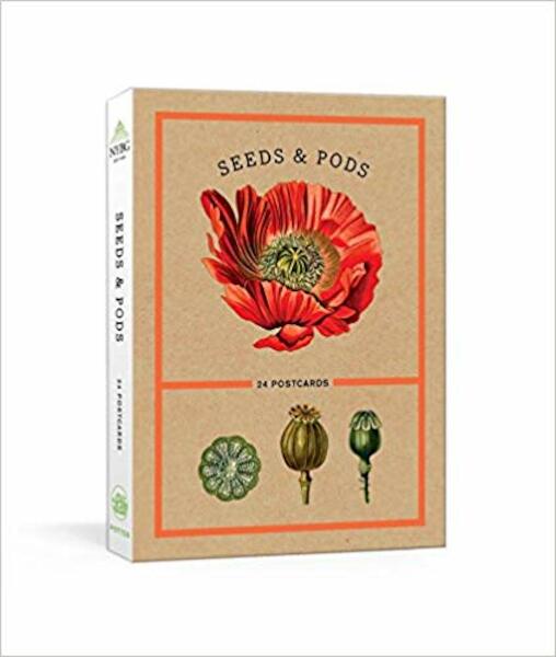 Seeds and Pods - (ISBN 9781524759056)