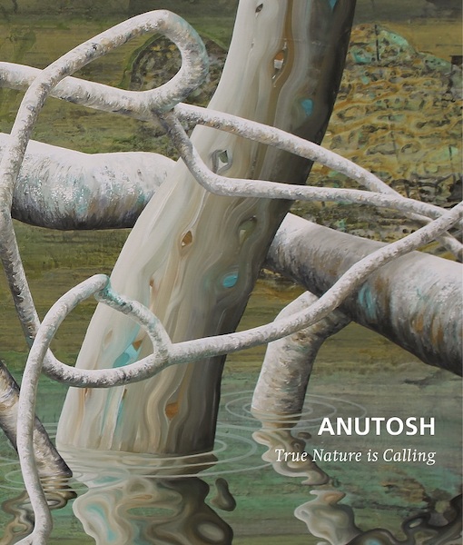 Anutosh - True Nature is Calling - Jaap Röell (ISBN 9789062169931)