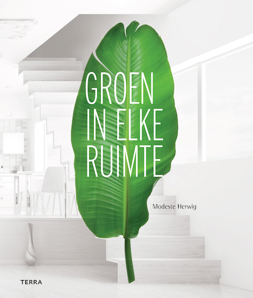Groen in elke ruimte - Modeste Herwig (ISBN 9789089897268)