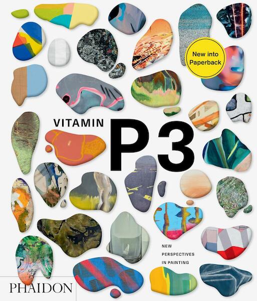 Vitamin P3: New Perspectives in Painting - Barry Schwabsky (ISBN 9780714879956)
