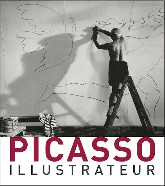 Picasso Illustrateur - (ISBN 9789461615510)