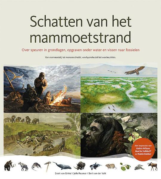 Schatten van het mammoetstrand - Evert van Ginkel, Jelle Reumer, Bert van der Valk (ISBN 9789080989207)