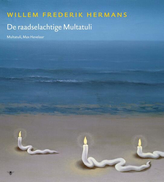 17 - Willem Frederik Hermans (ISBN 9789023442547)