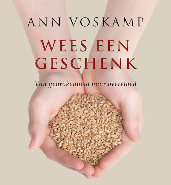 Wees een geschenk - Ann Voskamp (ISBN 9789051945584)