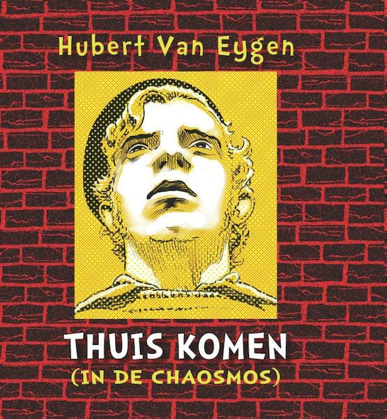 Thuis komen (in de chaosmos) - Hubert Van Eygen (ISBN 9789462663589)