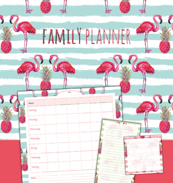 Family planner flamingo - (ISBN 9789463540483)