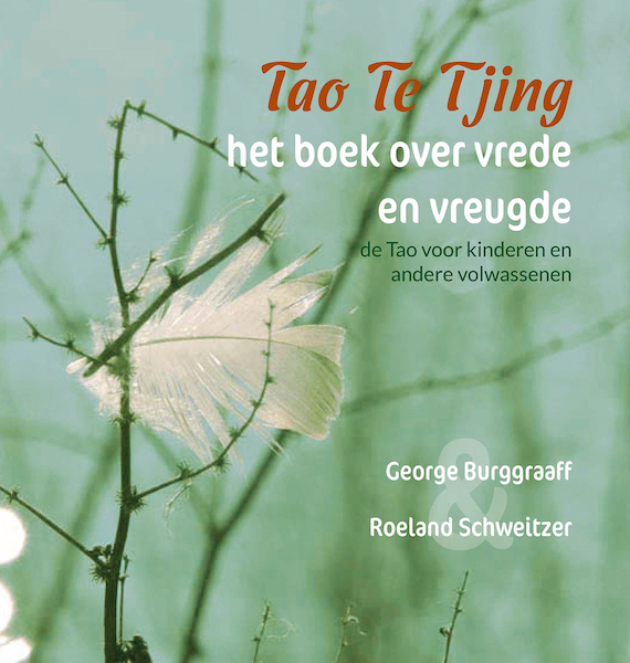 Tao Te Tjing, het boek over vrede en vreugde - Roeland Schweitzer (ISBN 9789492421951)