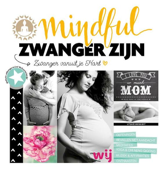 Mindful zwanger zijn - Yvon Tuinte-Zwanenburg, Anna van Amsterdam (ISBN 9789082250824)