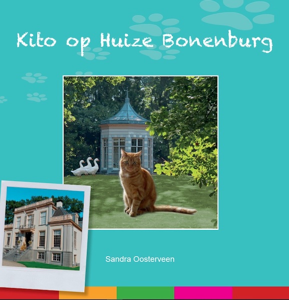 Kito op Huize Bonenburg - Sandra Oosterveen (ISBN 9789492959430)