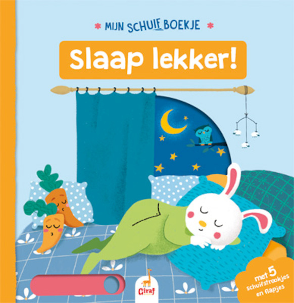 Mijn schuifboekje: Slaap lekker! - (ISBN 9789492616265)