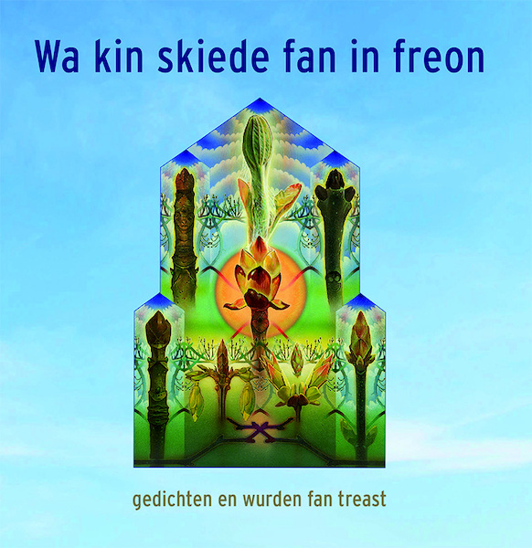 Wa kin skiede fan in freon - (ISBN 9789492176639)