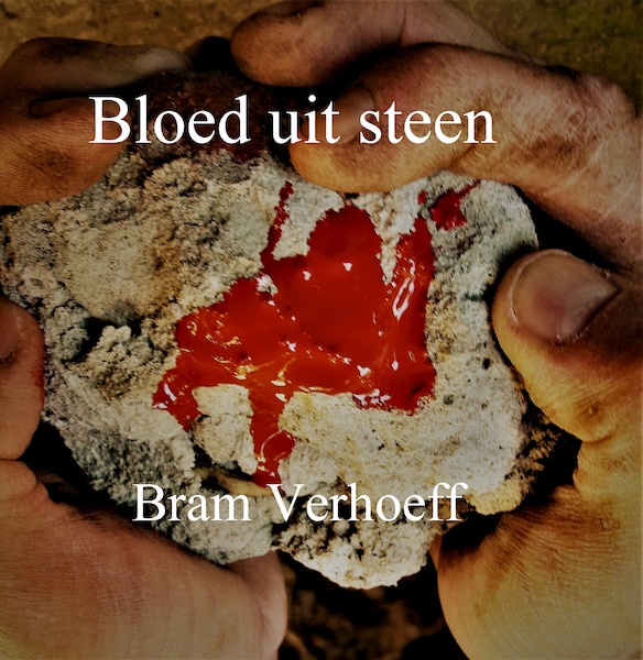 Bloed uit Steen - Bram Verhoeff (ISBN 9789492719201)