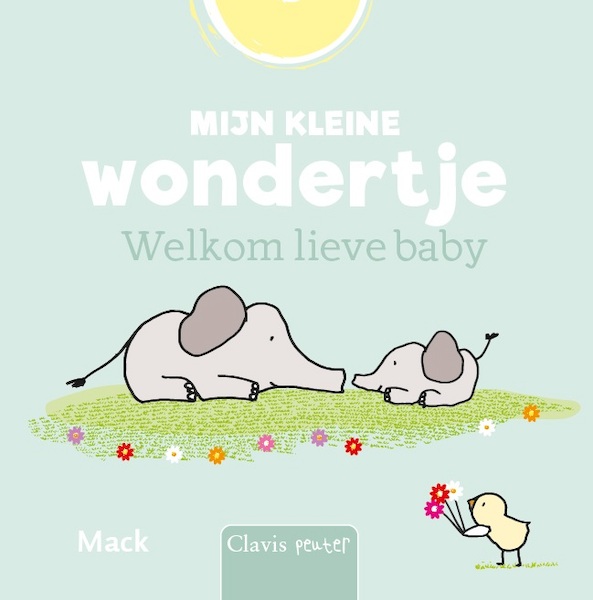 Mijn kleine wondertje, welkom lieve baby - Mack van Gageldonk (ISBN 9789044838411)