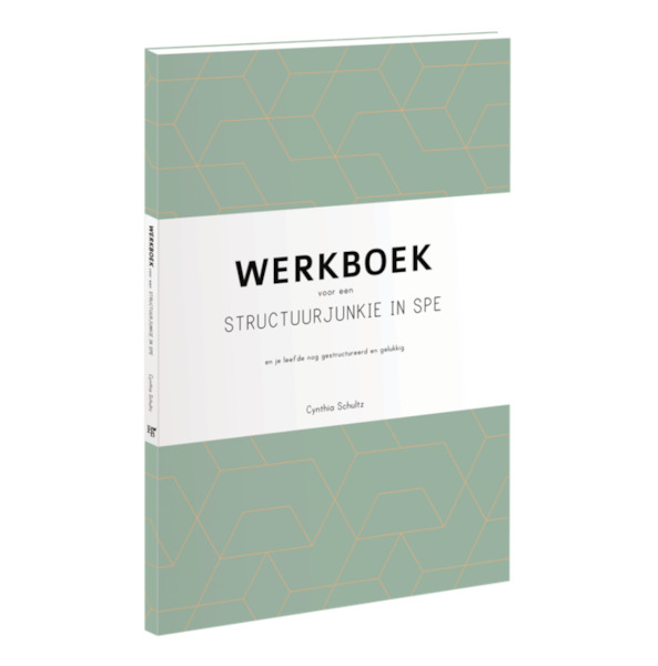 Werkboek voor een toekomstige structuurjunkie - Cynthia Schultz (ISBN 9789463491037)
