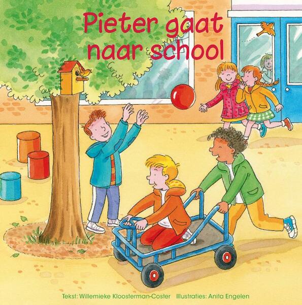 Pieter gaat naar school - Willemieke Kloosterman (ISBN 9789087180751)