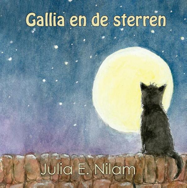 Gallia en de sterren - Julia E. Nilam (ISBN 9789463453158)
