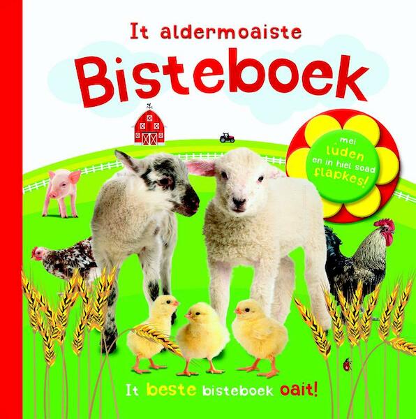 It aldermoaiste bisteboek - Dawn Sirett (ISBN 9789492176691)