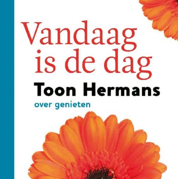 Vandaag is de dag - Toon Hermans (ISBN 9789026133114)