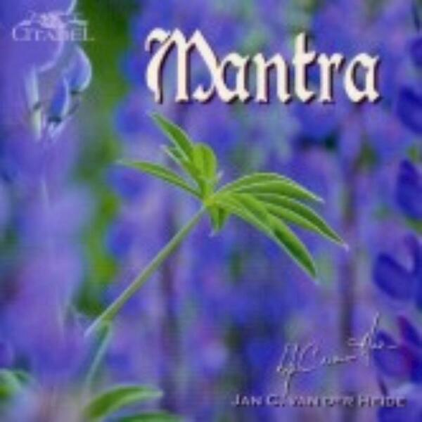 Mantra - J.C. van der Heide (ISBN 9789065860323)