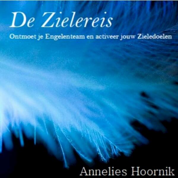 De Zielereis - Annelies Hoornik (ISBN 9789079995097)