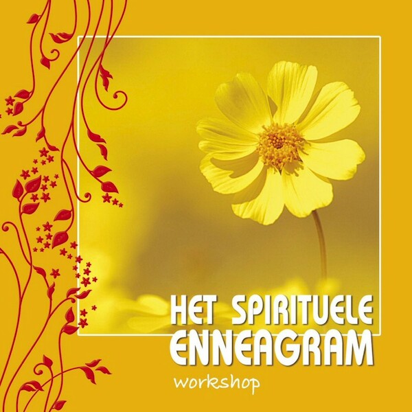 Het spirituele Enneagram - Willem Jan van de Wetering (ISBN 9789055992867)