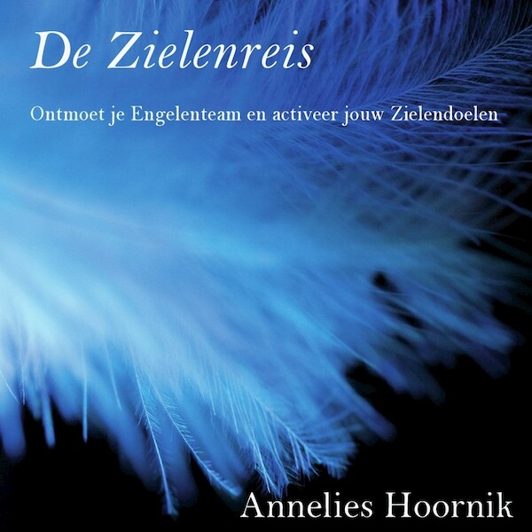 De Zielenreis - Annelies Hoornik (ISBN 9789079995271)