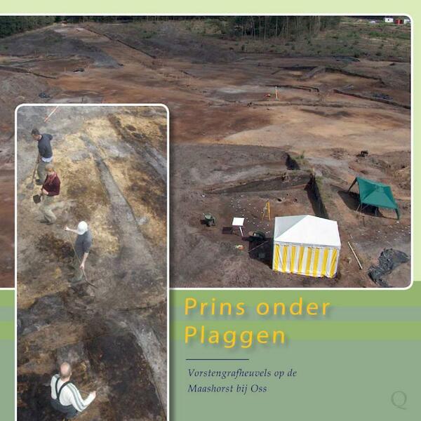 Prins onder plaggen - Evert van Ginkel (ISBN 9789088900358)