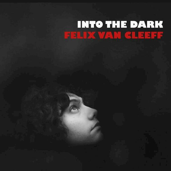 Into the dark - Felix van Cleeff (ISBN 9789491092077)